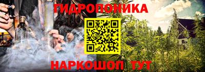 дмт Гатчина