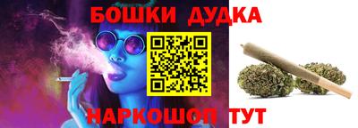 дмт Гатчина
