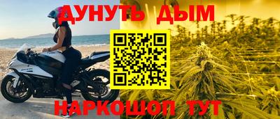 дмт Гатчина