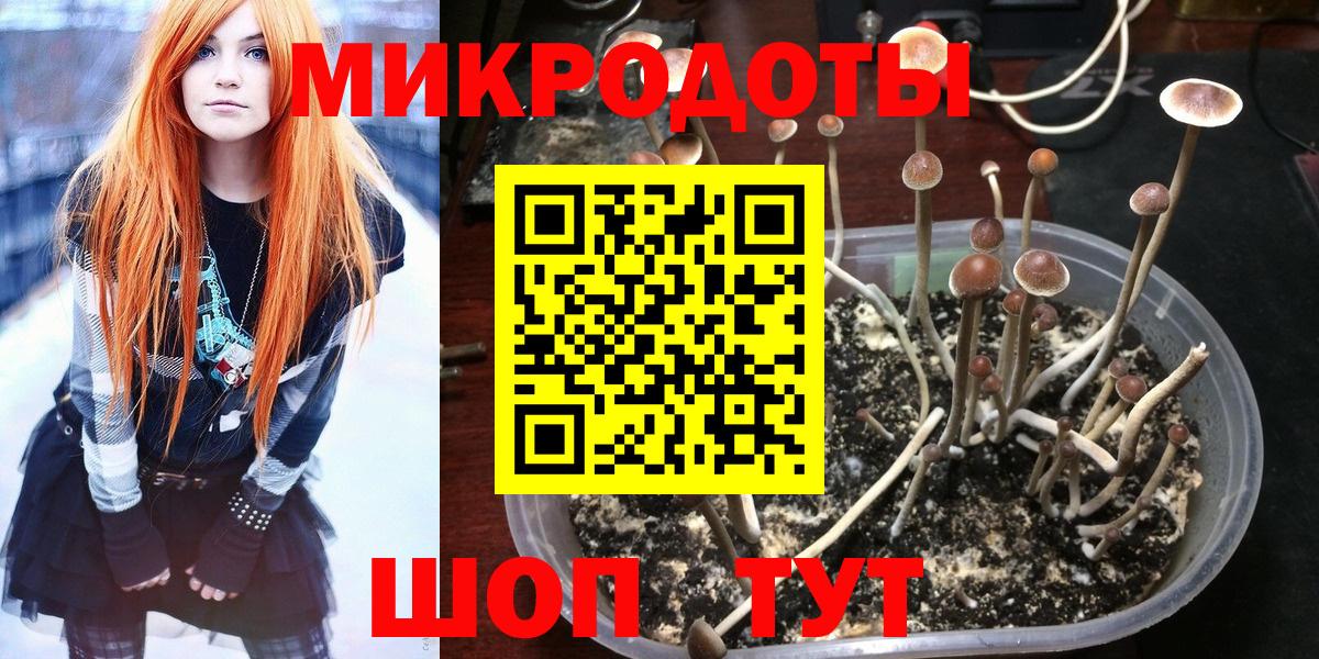 Галлюциногенные грибы Magic Shrooms Михайловск