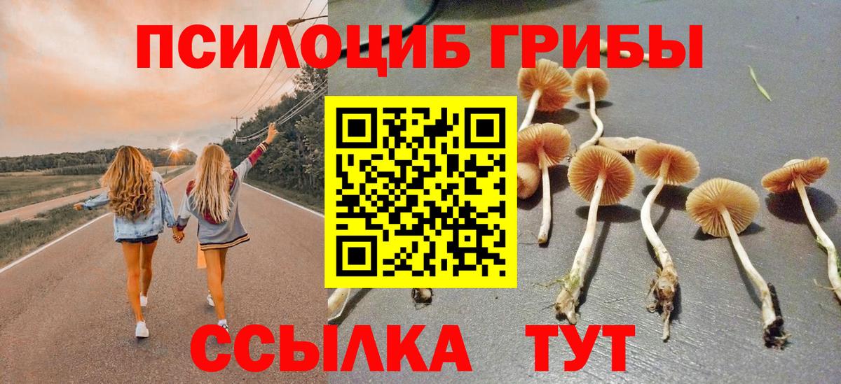 Галлюциногенные грибы мицелий  Вход с VPN  Михайловск  Галлюциногенные грибы ЛСД 