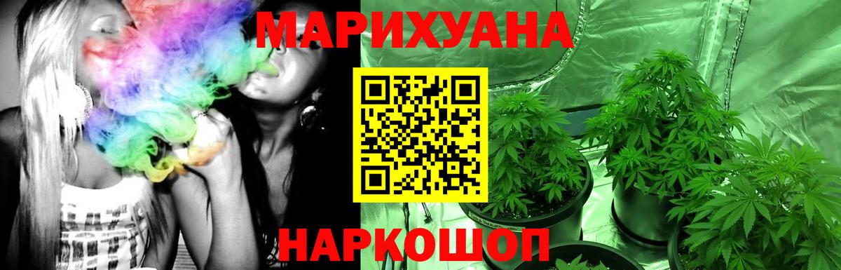 Марихуана сатива Михайловск